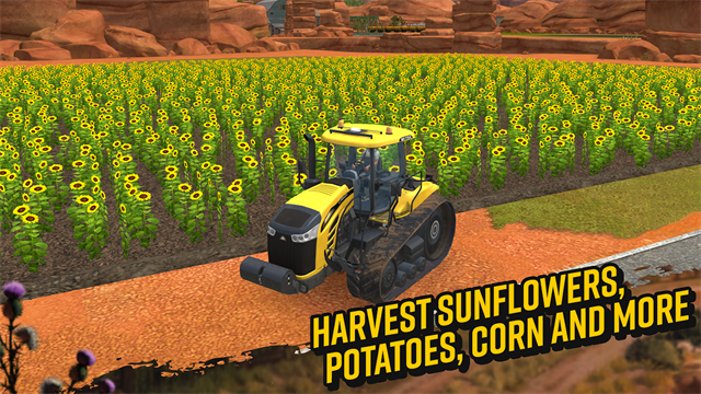 FS 183