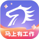 百城招聘个人版