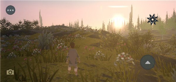 Wilderless Classic3