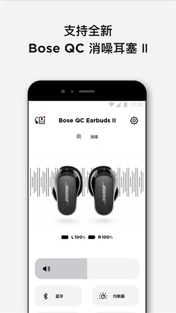 Bose音乐4
