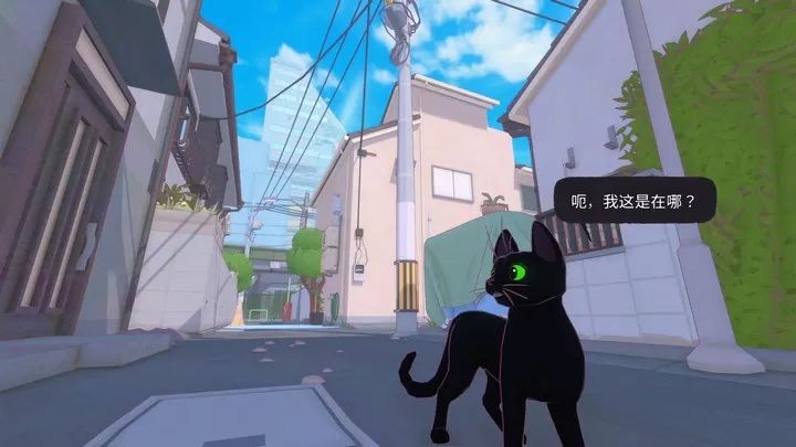 小猫咪大城市免费版3