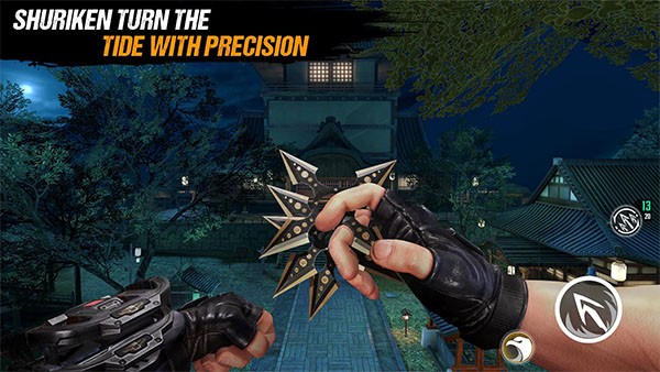 Ninja's Creed 21