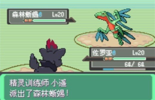 口袋妖怪漆黑的魅影DP版4