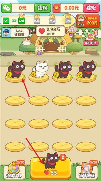 筑梦猫舍5