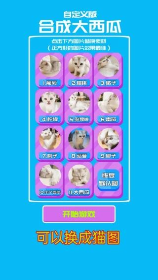 合成大西瓜4