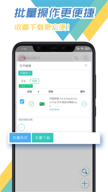 飞鸟下载器3