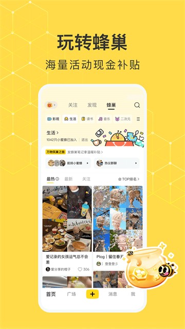 网易小蜜蜂4