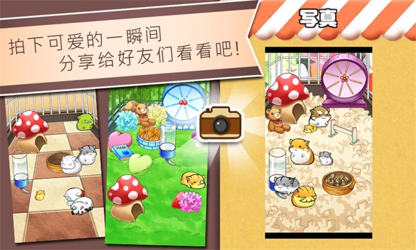 Hamster Life2