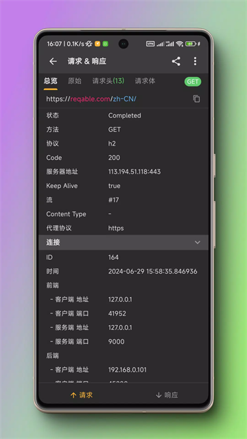 Reqable(小黄鸟抓包)2