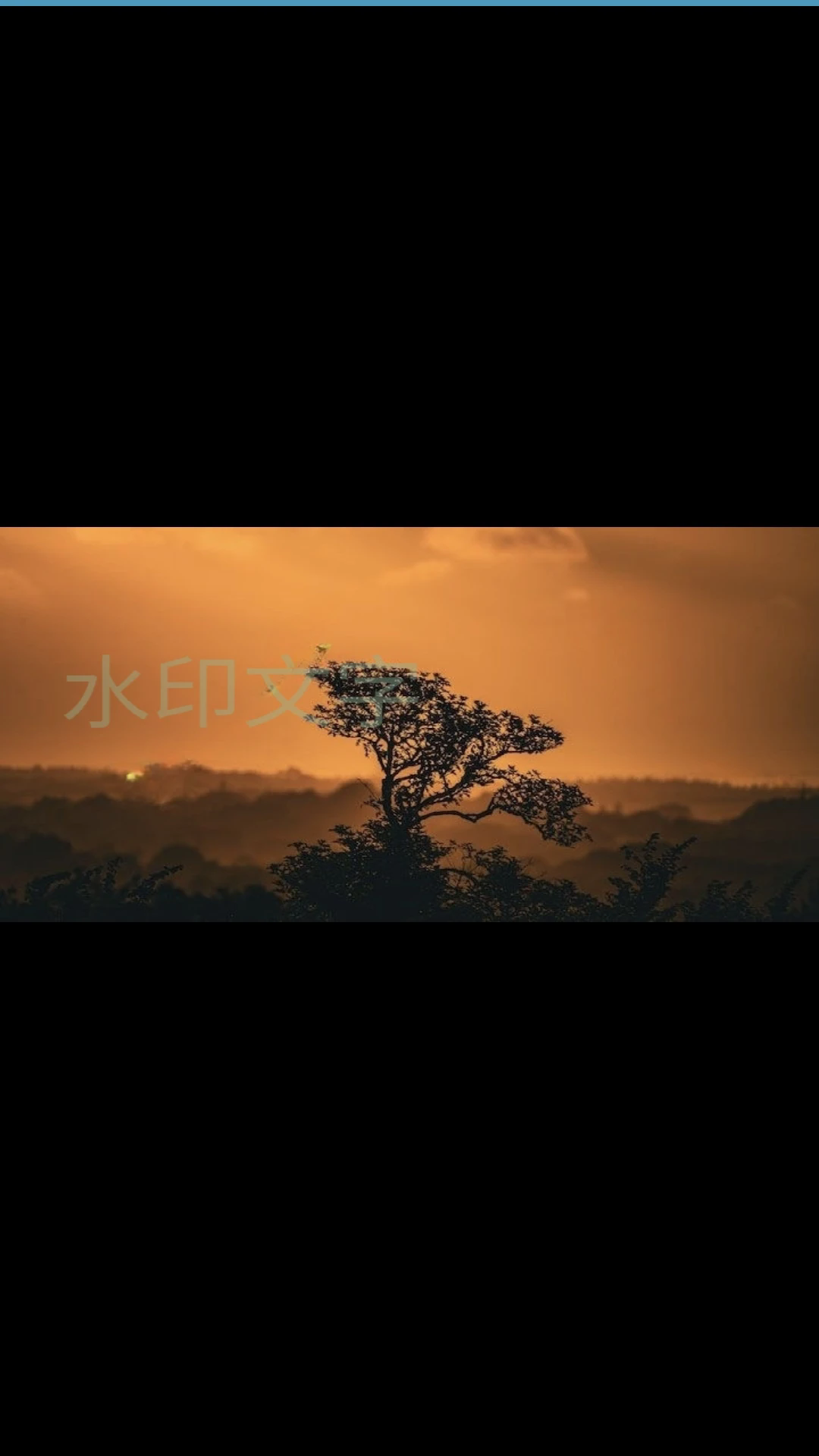 批量图片水印APP3