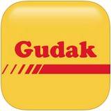 GudakCam