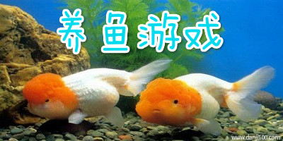养鱼游戏
