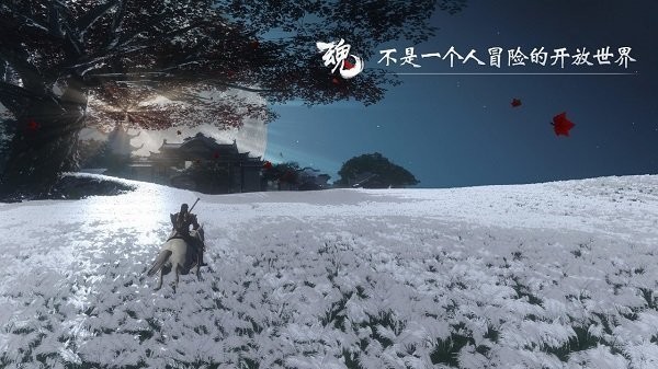 魂之追梦2
