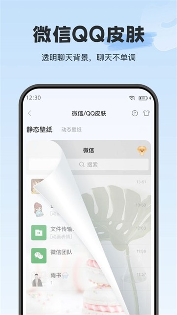 iWidgetapp1