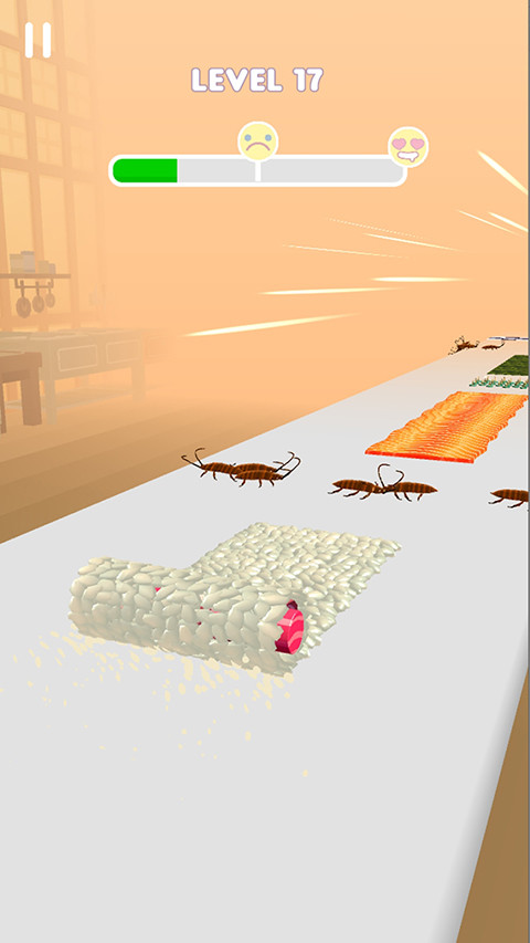 Sushi Roll 3D2