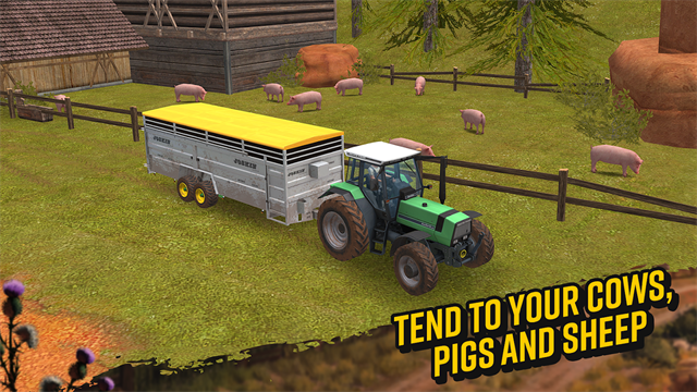 FS 181