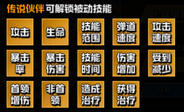 伙伴介绍4
