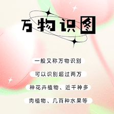 1691978946476648.png image.png