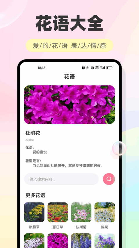 海鸥聊天定制版