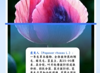 1704681802963824.png image.png