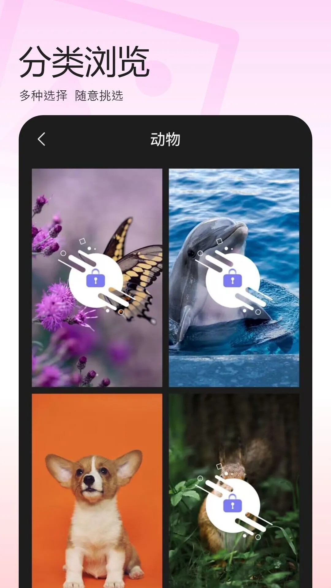 百变换壁纸官方正版