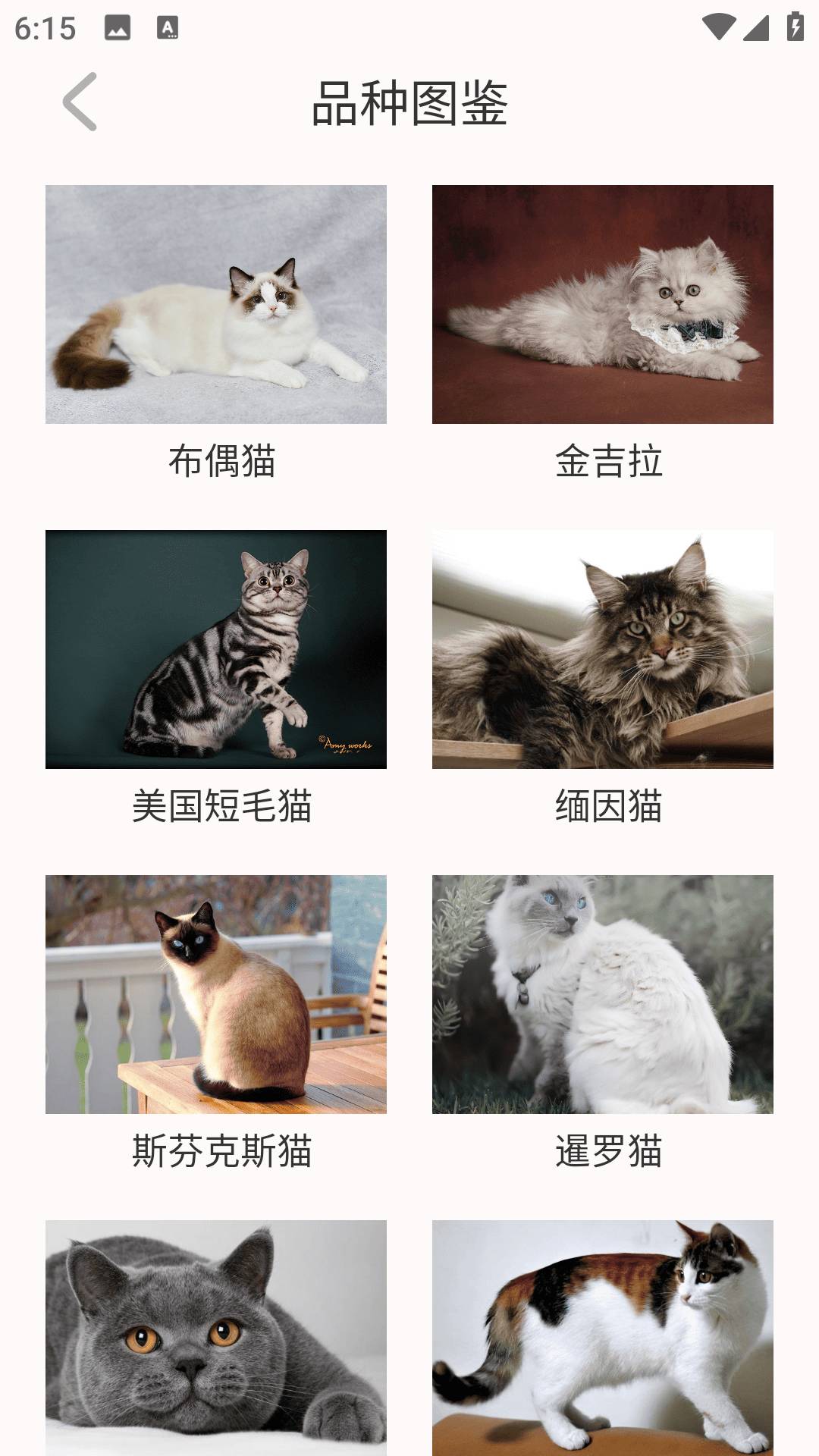 猫眼精灵老版本