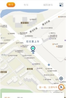 乖乖马出行
