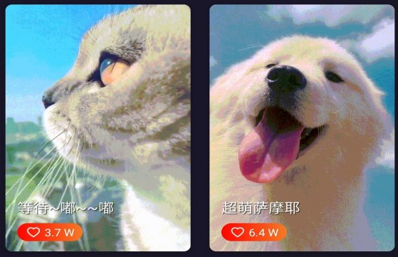 1638428733242617.png image.png