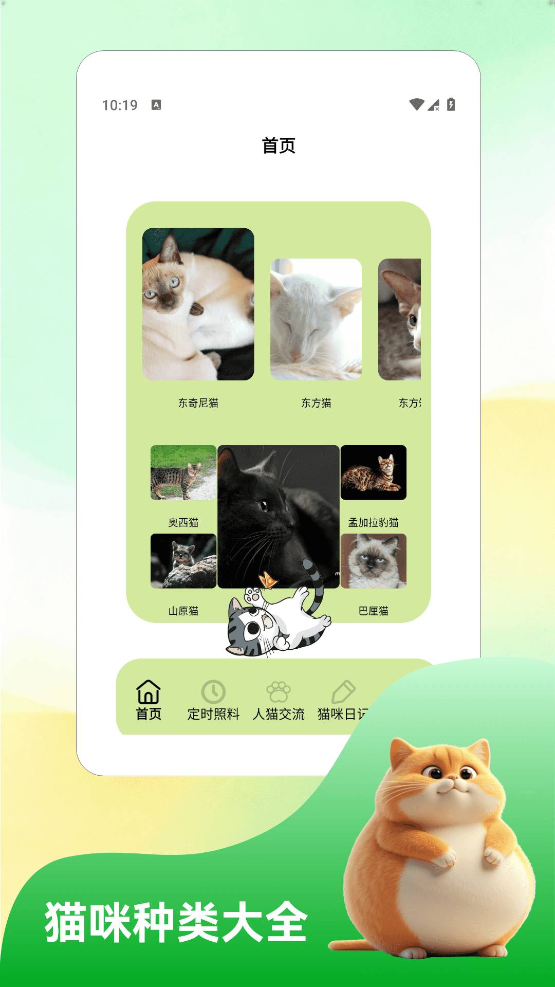 我和猫猫免费正版
