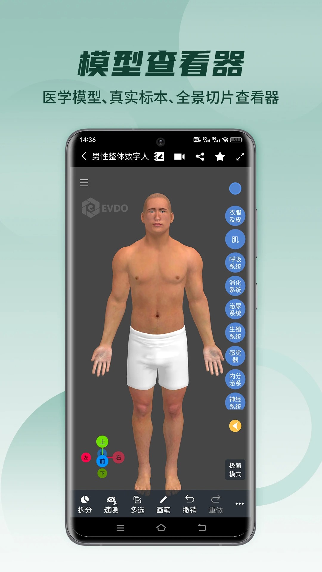 医维度解剖官方正版