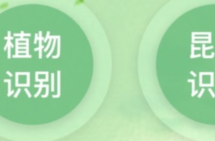 1636957256270744.png image.png
