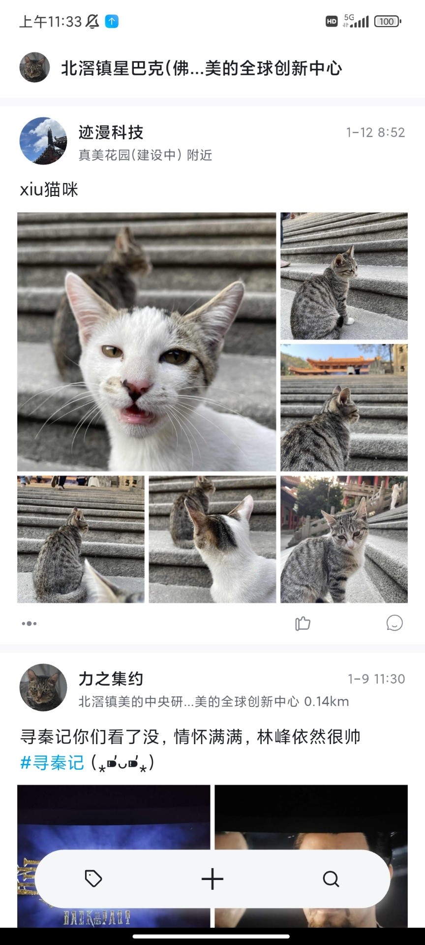 新地NewLand官方版