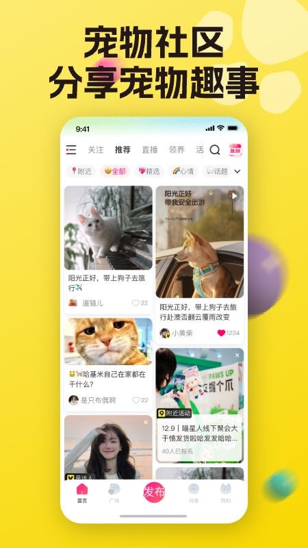 宠之谷纯净版