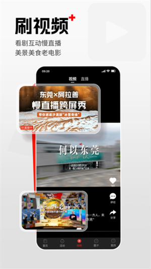 东莞+无会员