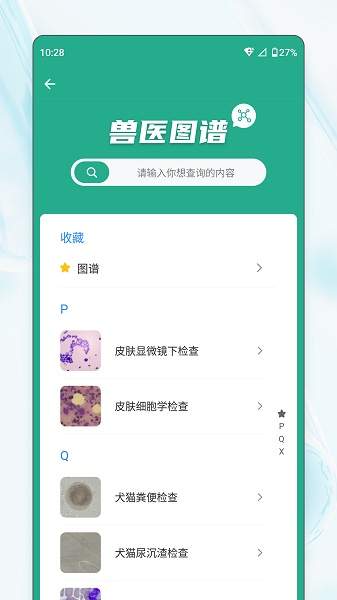 宠壹堂正式版