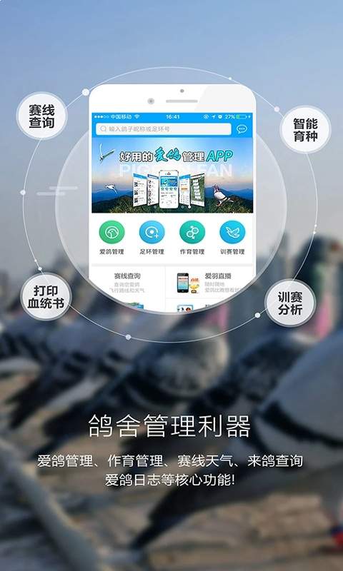 爱鸽者2026最新版