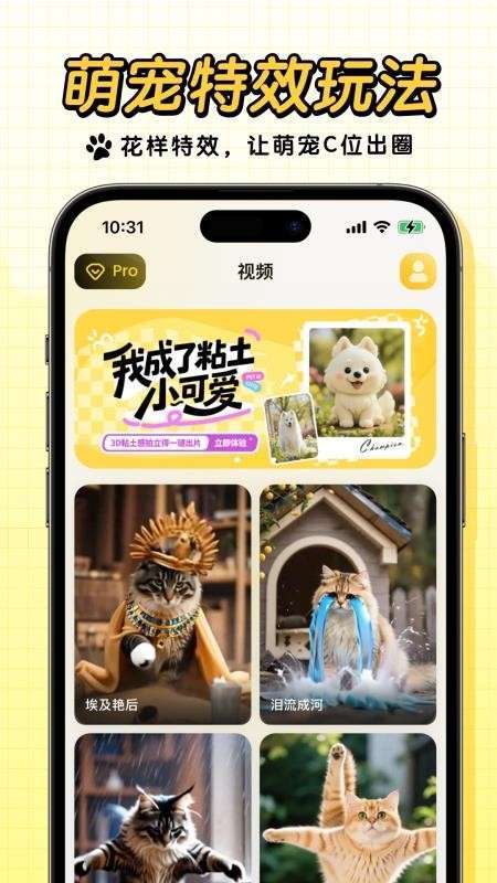 宠玩会员免登录