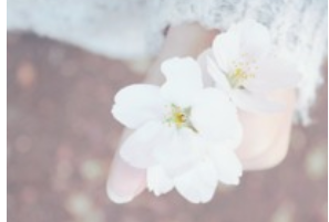 1721441996826857.png image.png