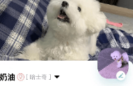 1729129527302812.png image.png
