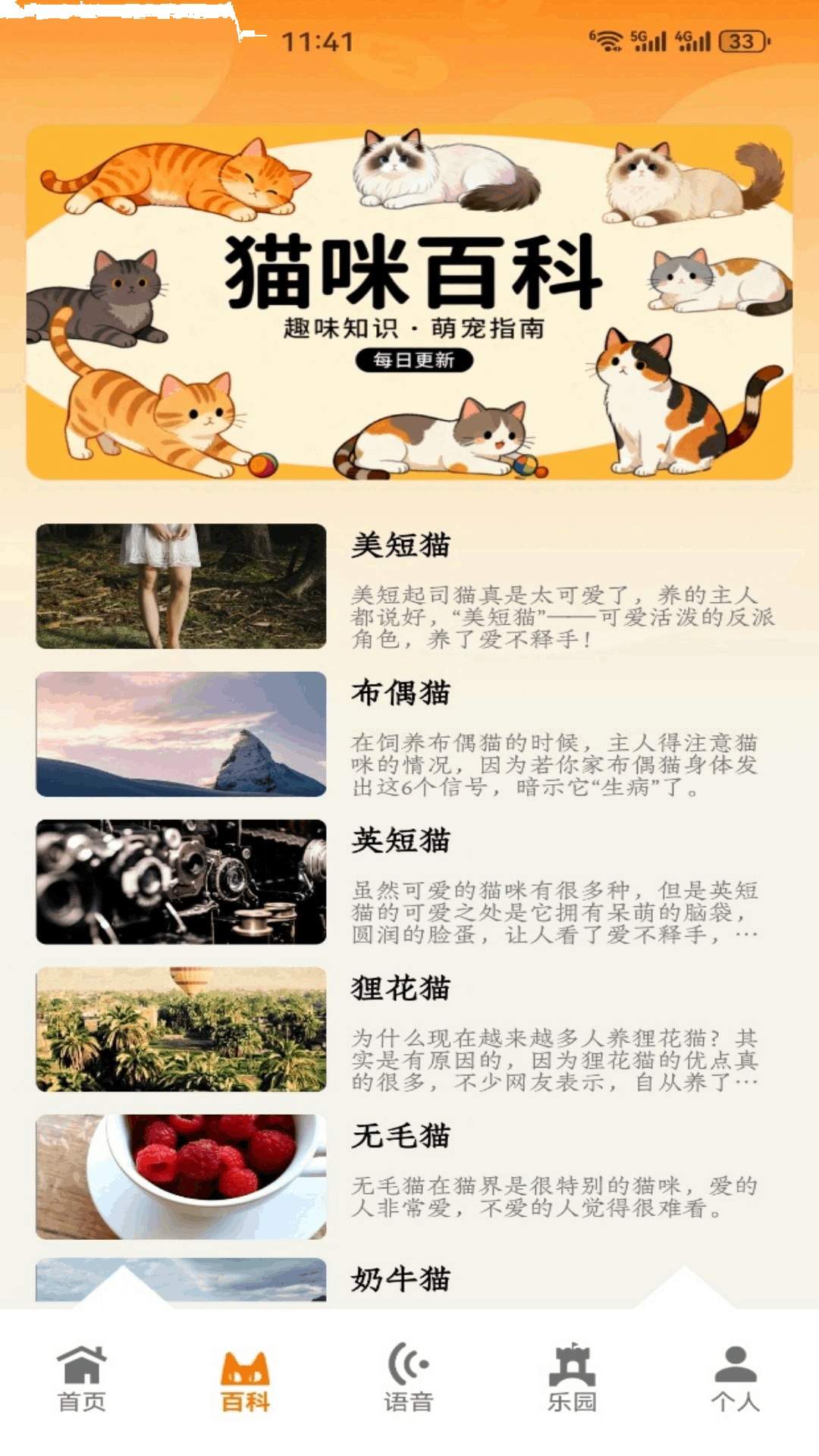 暖暖猫咪官方正版