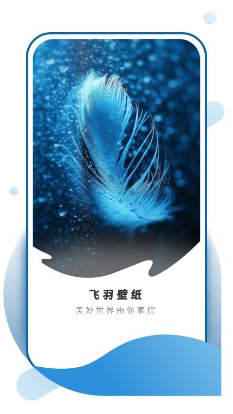 飞羽壁纸定制版