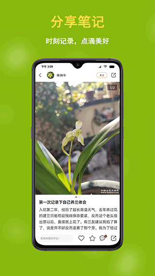中国兰花交易网免费正版