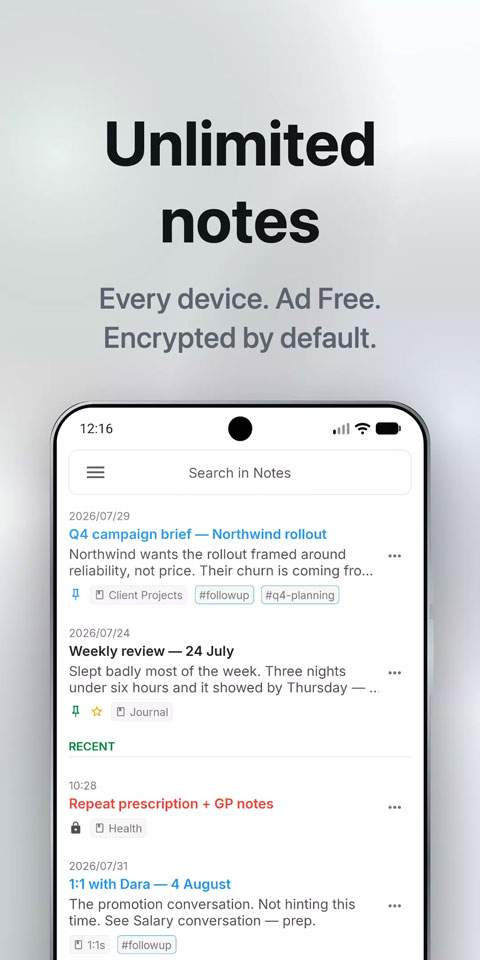 Notesnook纯净版