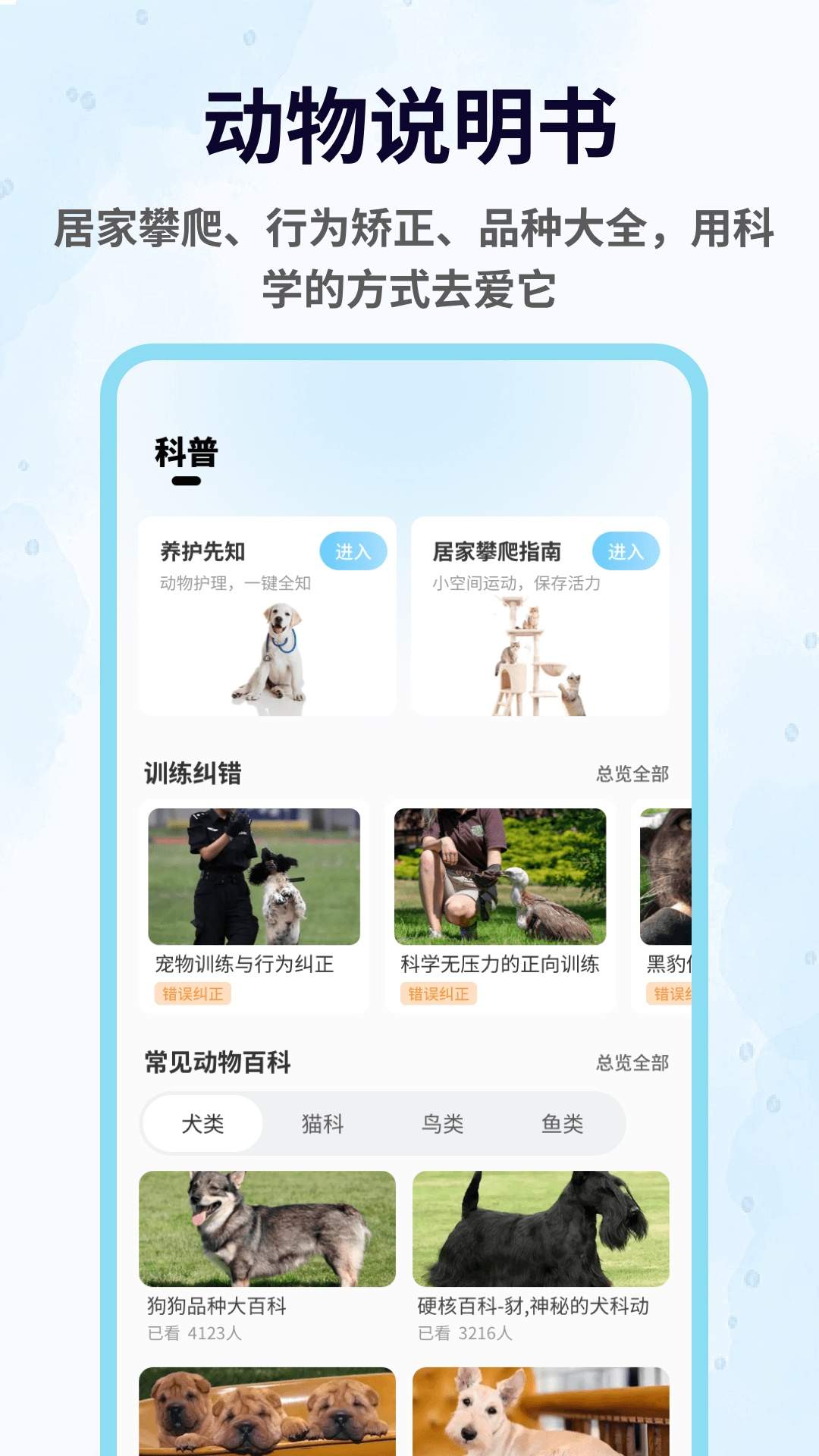 攀趴动物安卓版