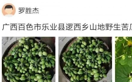 助农通