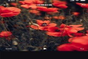 1637903509417954.png image.png