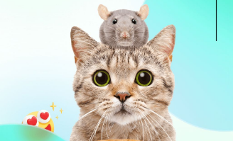 1698905636833861.png image.png