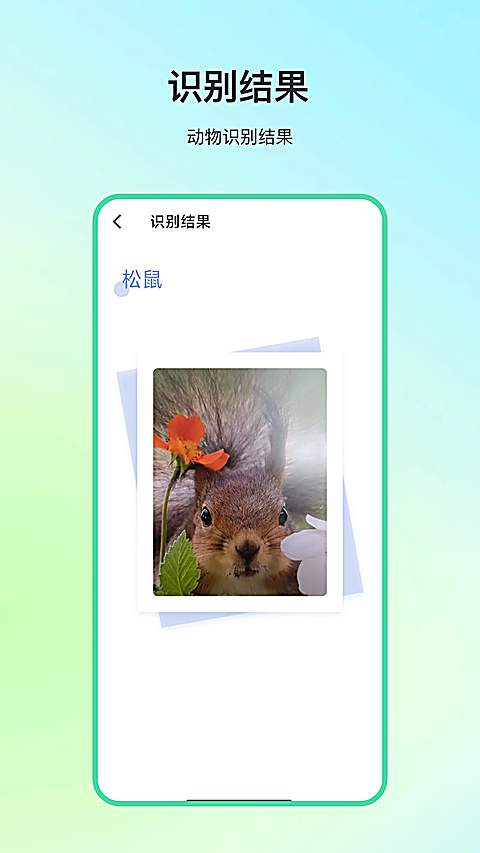动物百科自定义版