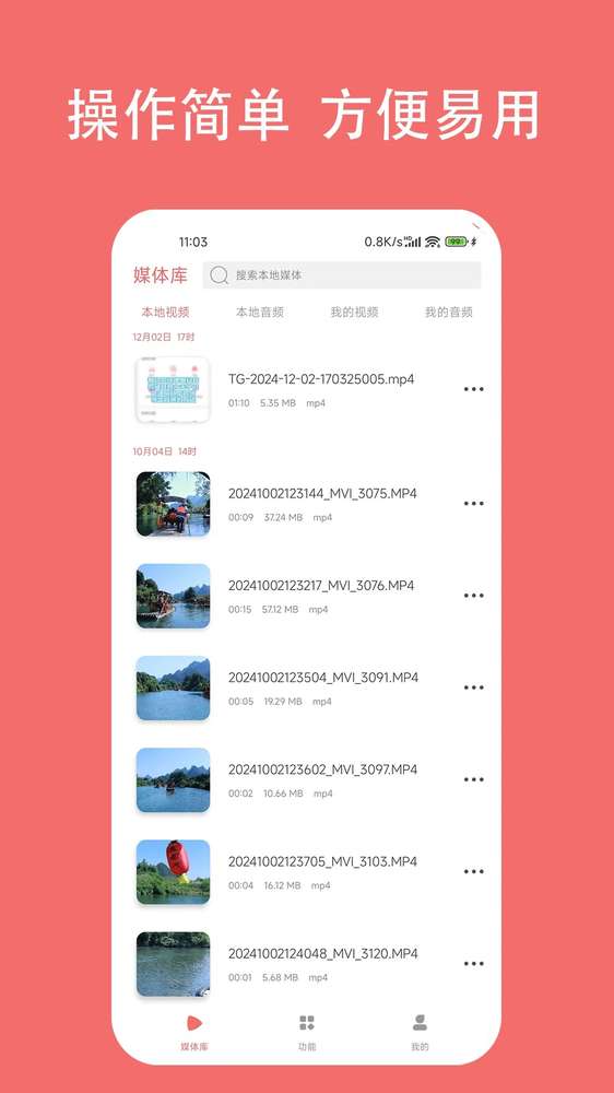 格式大师定制版
