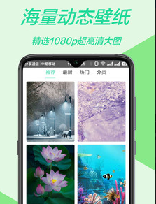 手机主题